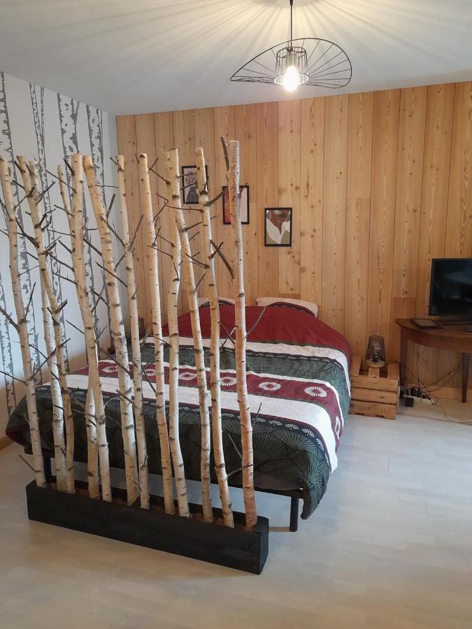 Apartament Studio Cosy De 2 A 4 Personnes Au Coeur Du Haut Doubs, Entre Les Lacs, Les Montagnes Et Les Vignobles Frasne Zewnętrze zdjęcie